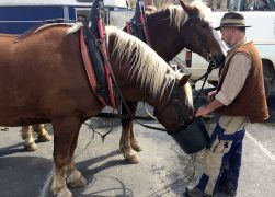 Holzmarkt 2018  In Jena 0020